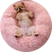 Cosy Calming Dog Bed
