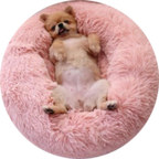 Cosy Calming Dog Bed